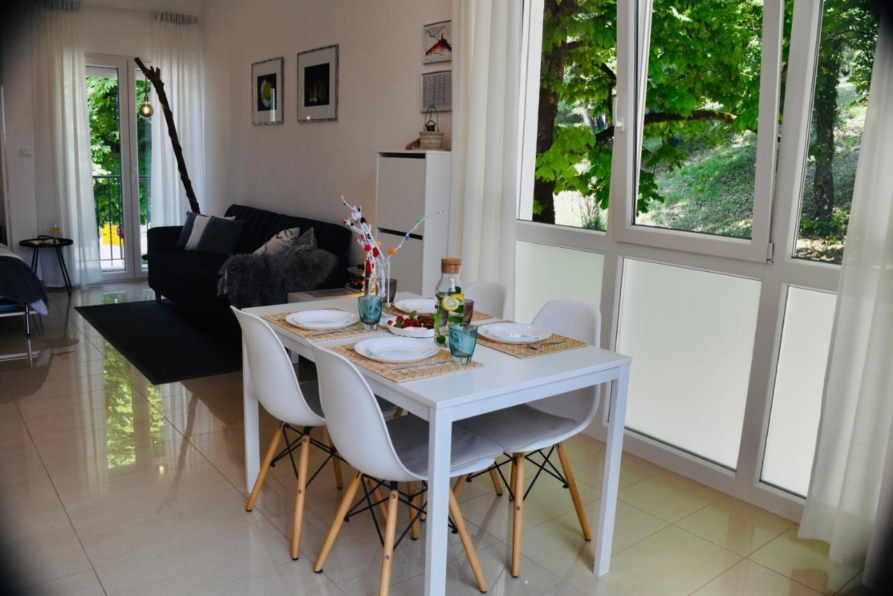 Studio Apartment Stazion With Free Parking Pazin Bagian luar foto