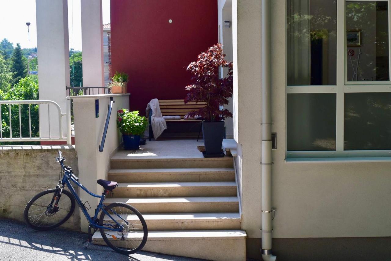 Studio Apartment Stazion With Free Parking Pazin Bagian luar foto
